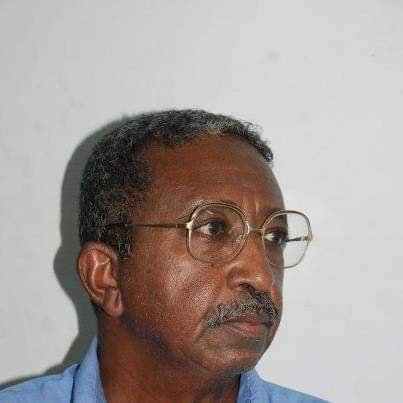 الواقعية في الرواية السودانية ومحاولة توثيق المجتمع السوداني 
